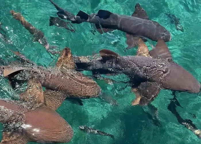 Botel Coba Belize